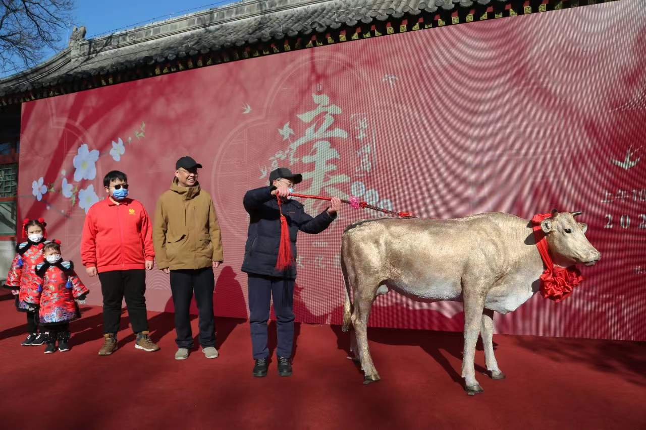 6立春文化节配图.jpg