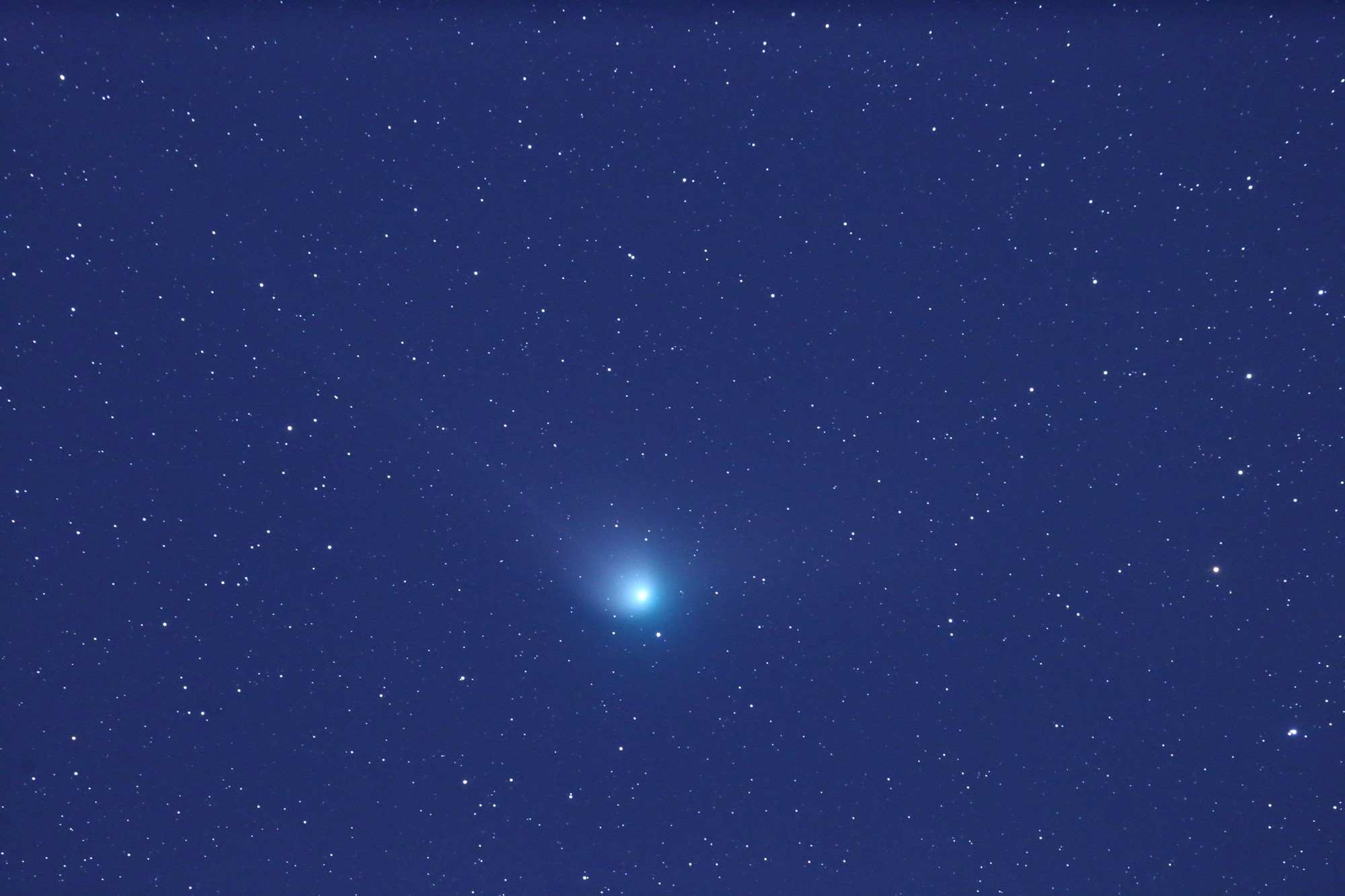 1676512164803097004.jpg 秦国明-C2022 E3 ZTF彗星(长边2000像素).jpg