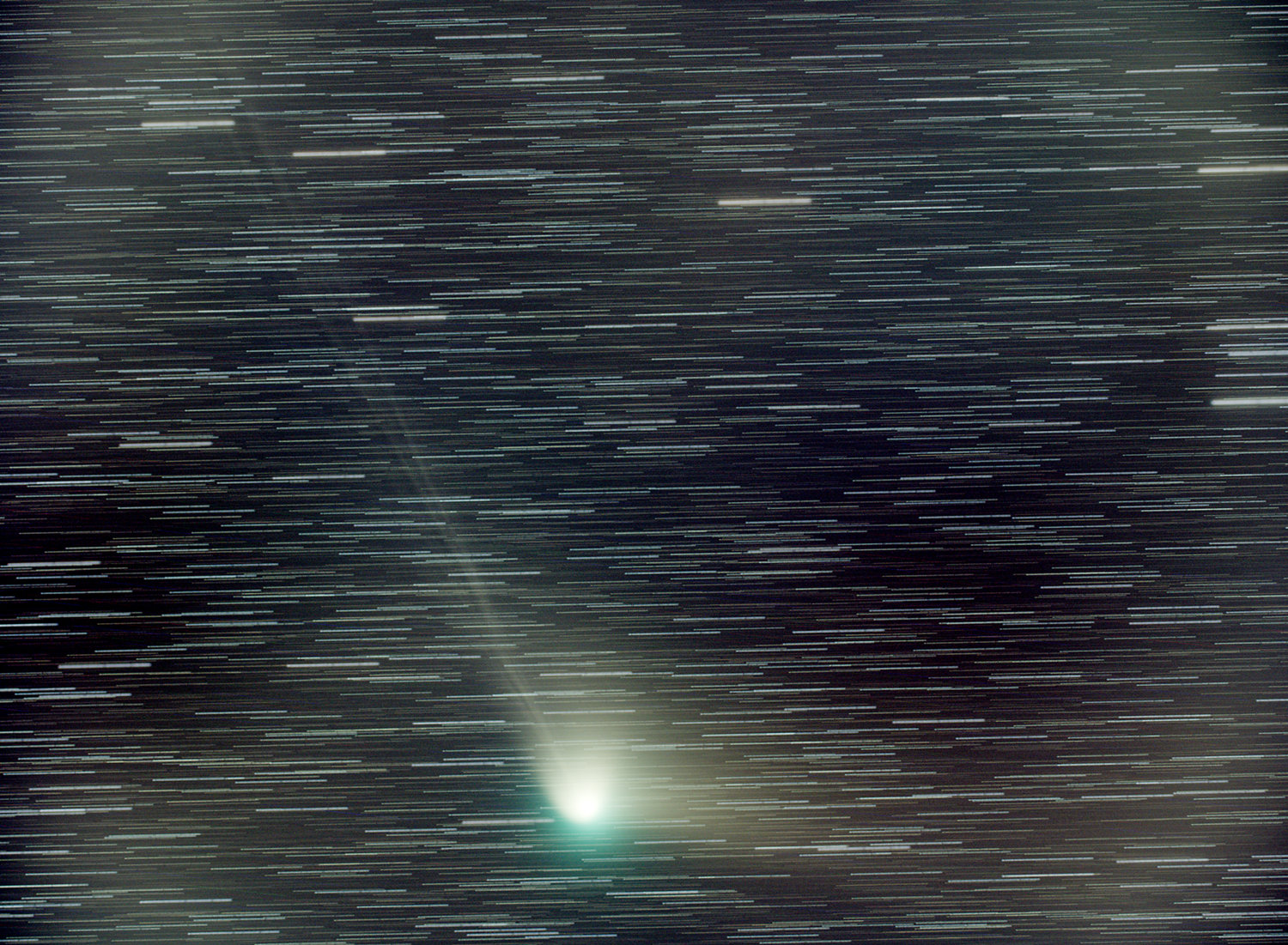 1676512193709054988.jpg 黄孝慈-彗星C2022 E3(ZTF)(长边1500像素).jpg