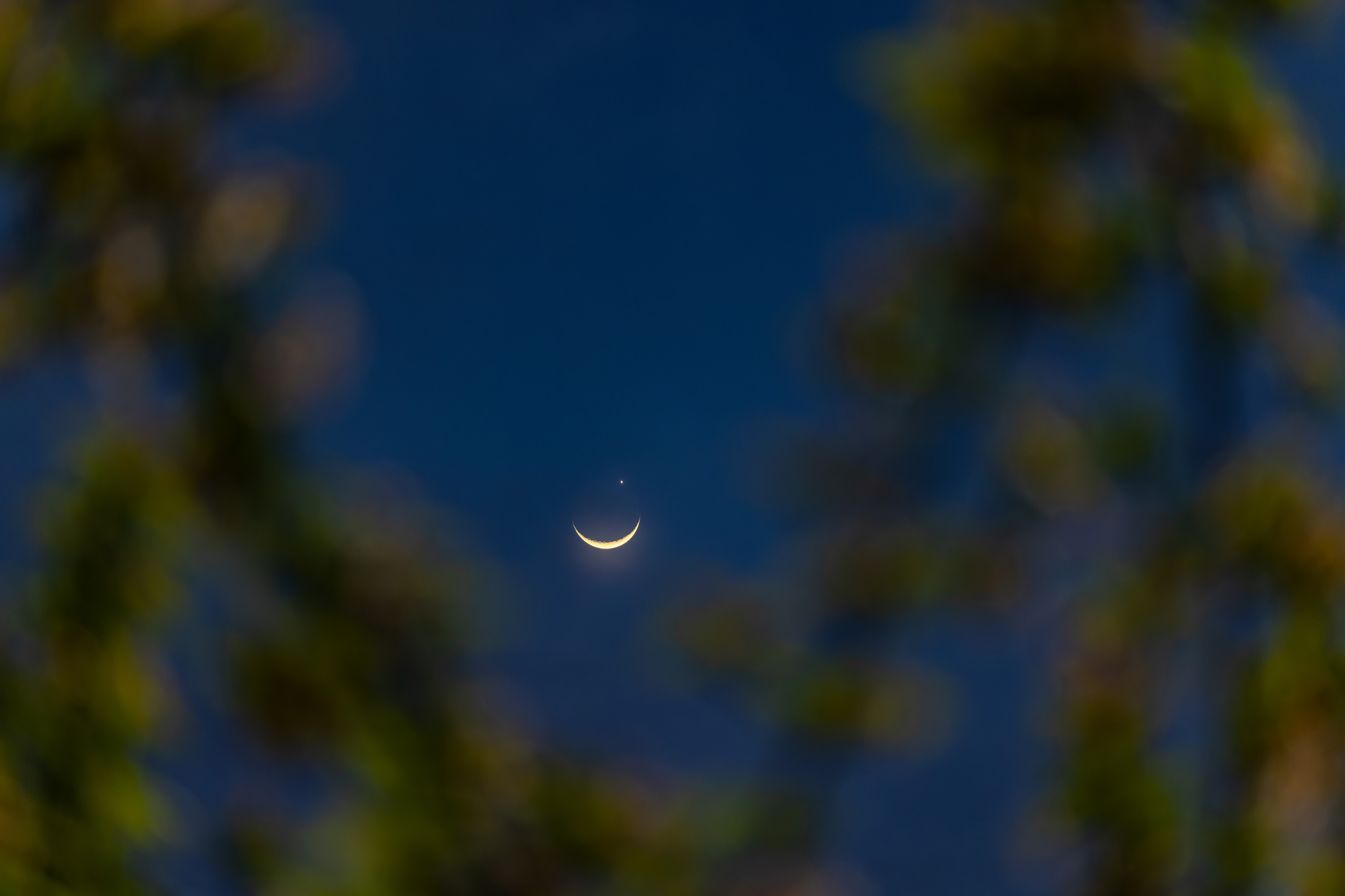 1680143674179011720.jpg 蒋涛-月掩金星(长边3000像素).jpg