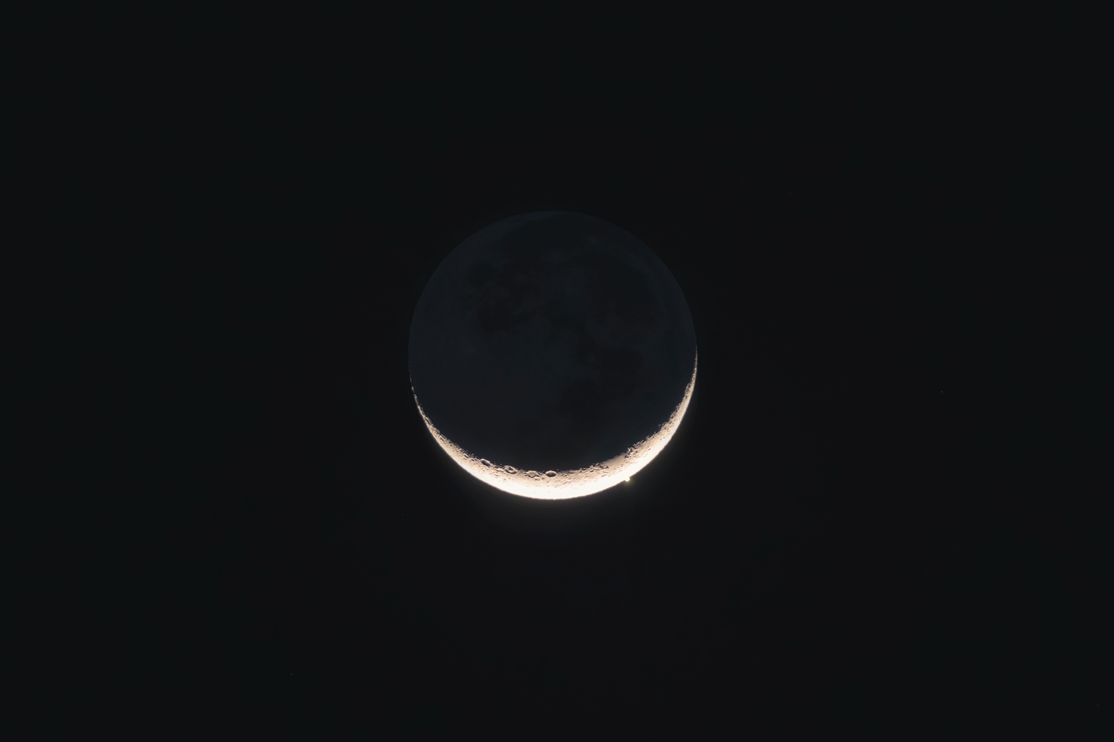 1680143744820035845.jpg 张茂海-月掩金星.jpg