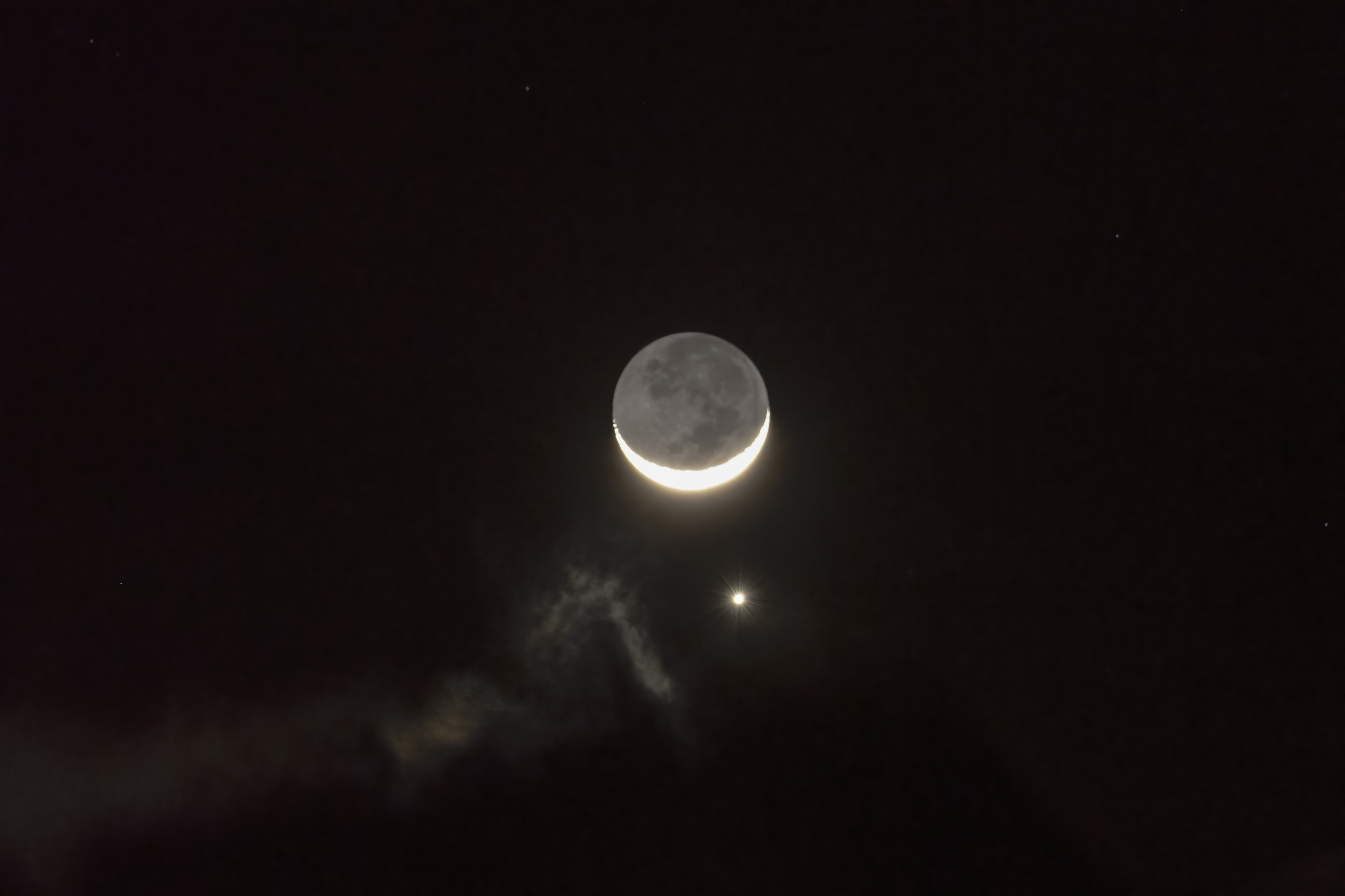 1680143827523002787.jpg 许晓平-月掩金星.jpg