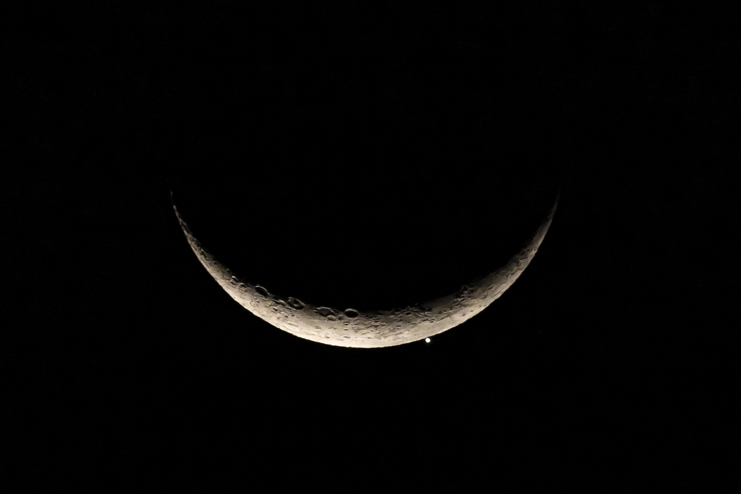1680143958835005132.jpg 乔琛-月掩金星(长边2500像素).jpg