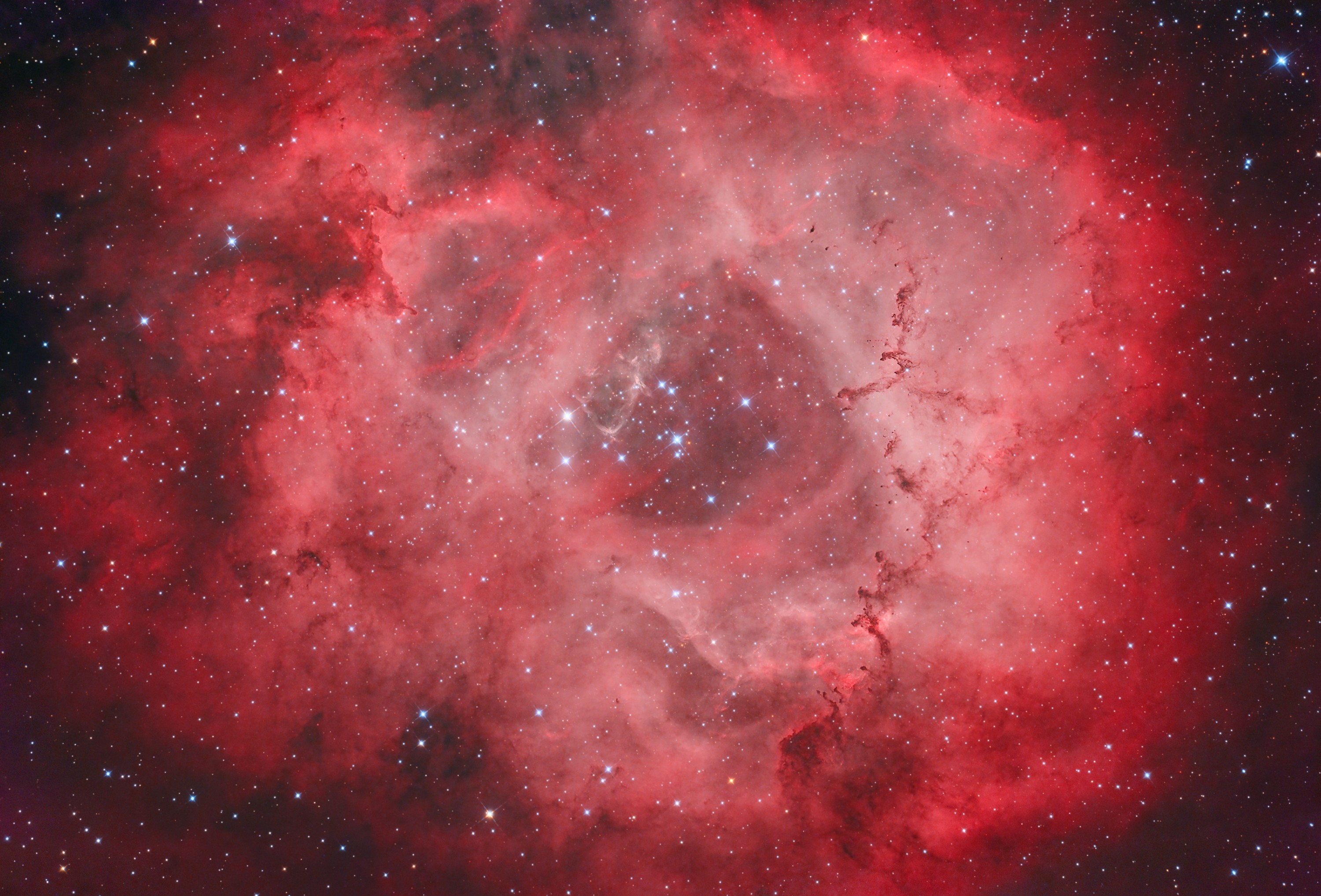1691561948427036618.jpg 翁正一-玫瑰星云(长边3000像素).jpg