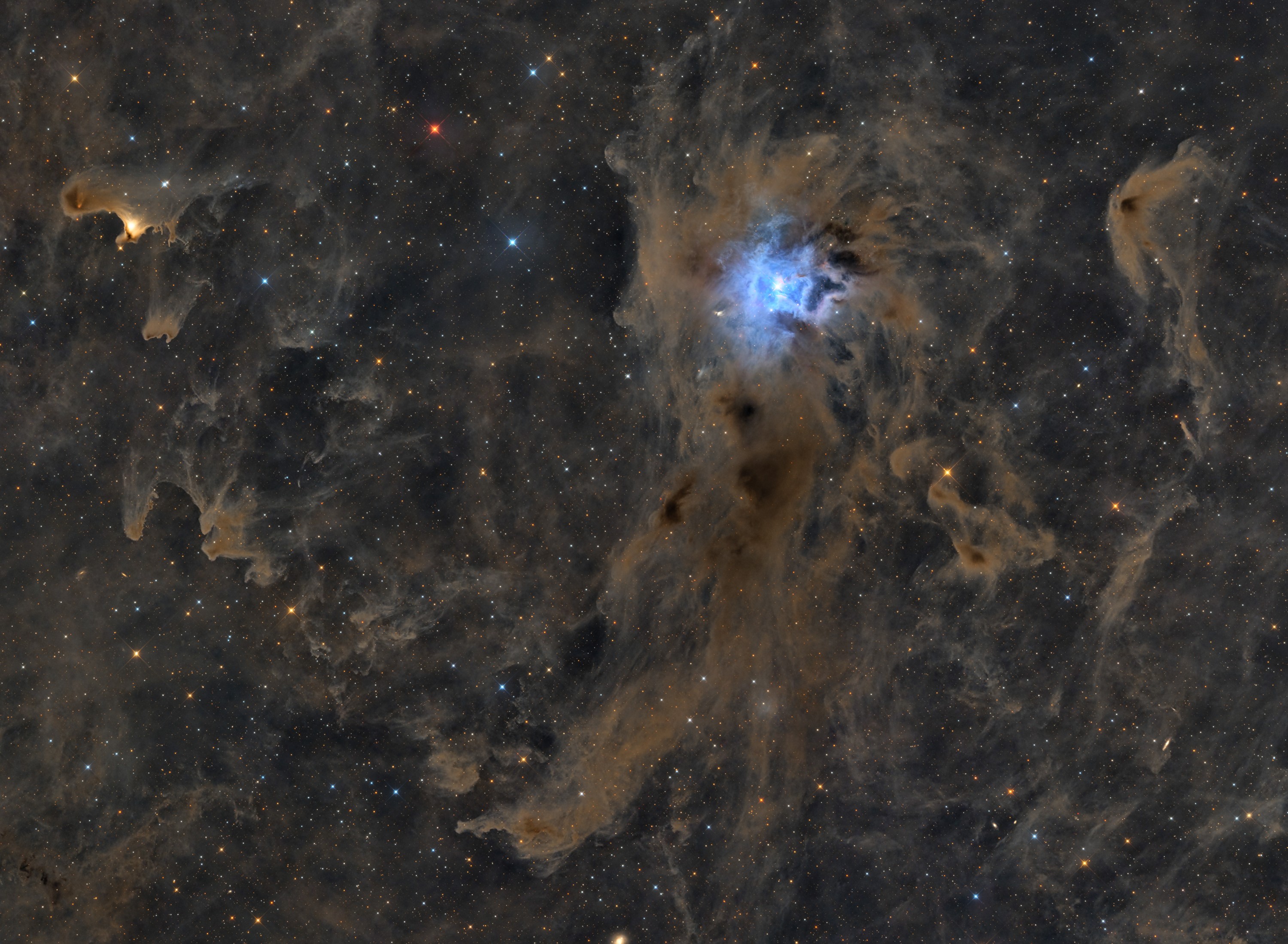 吴江、YueXiao Shen、Joe Hua-NGC7023鸢尾花星云（长边3000像素）.jpg