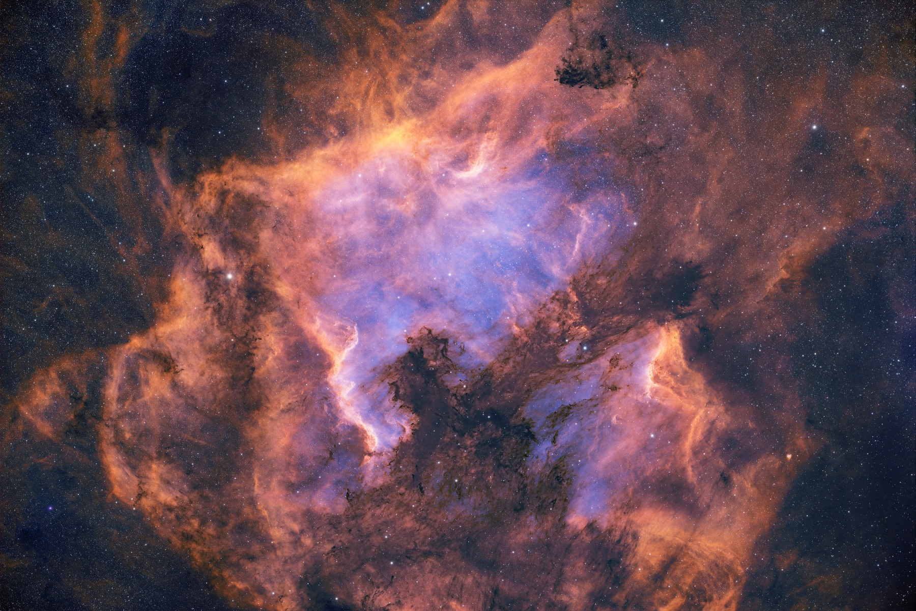 1732858841414055430.jpg 星云.jpg