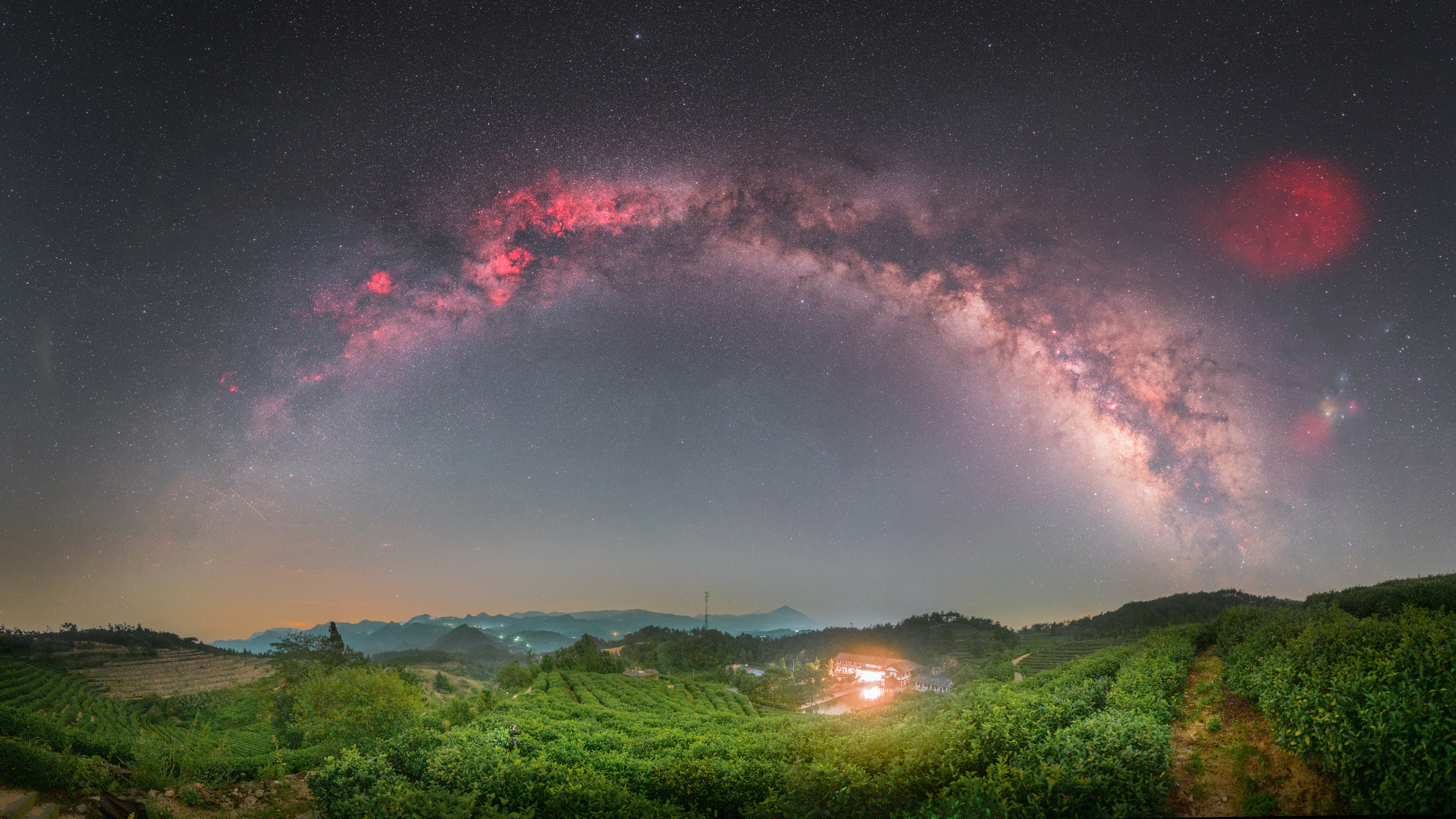 茶园夜色.jpg