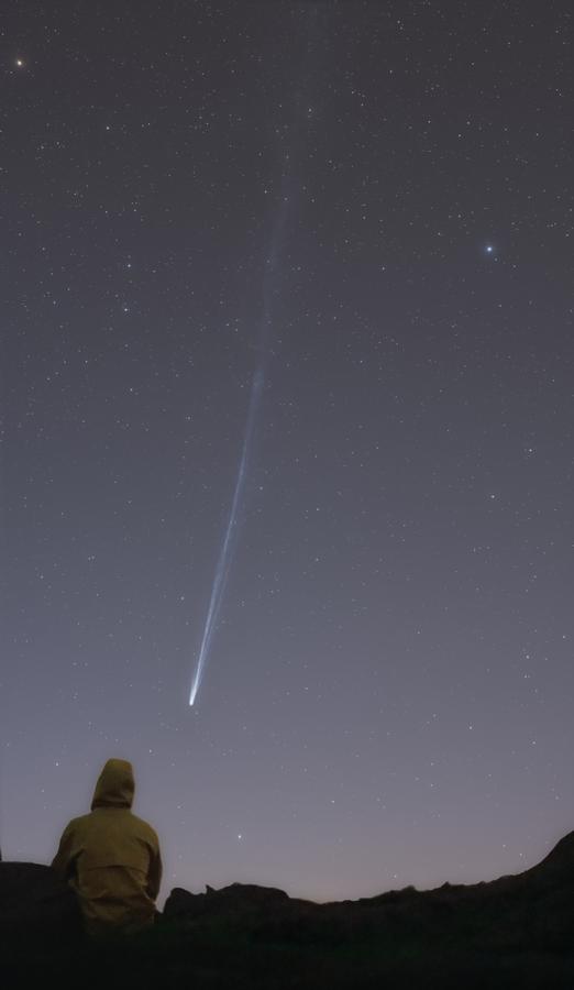616郑剑—飞马星跃.jpg