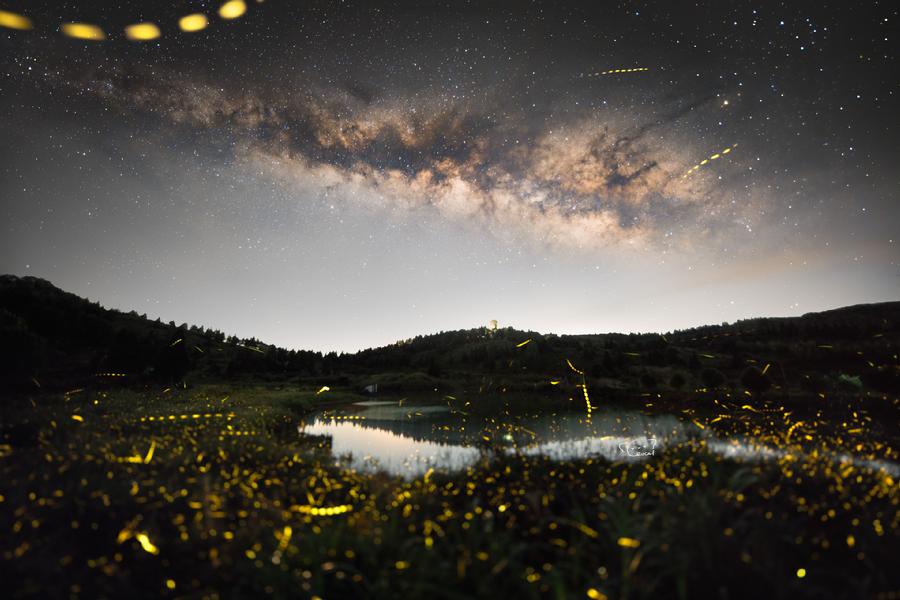 826Leo蔡胤霖-「夏夜流萤」NIGHT GLOW.jpg