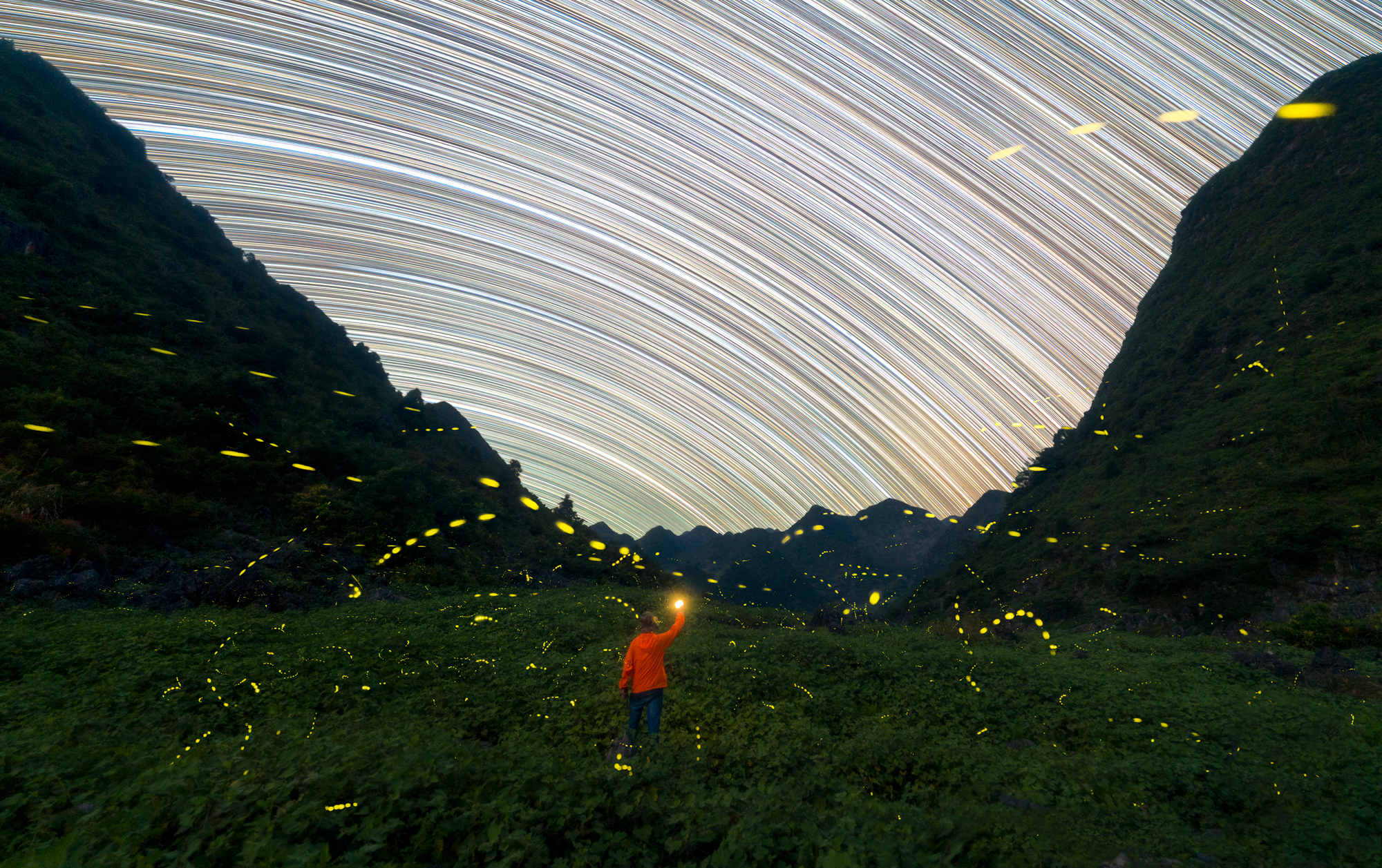 《星轨流萤》-辉辉辉机.jpg