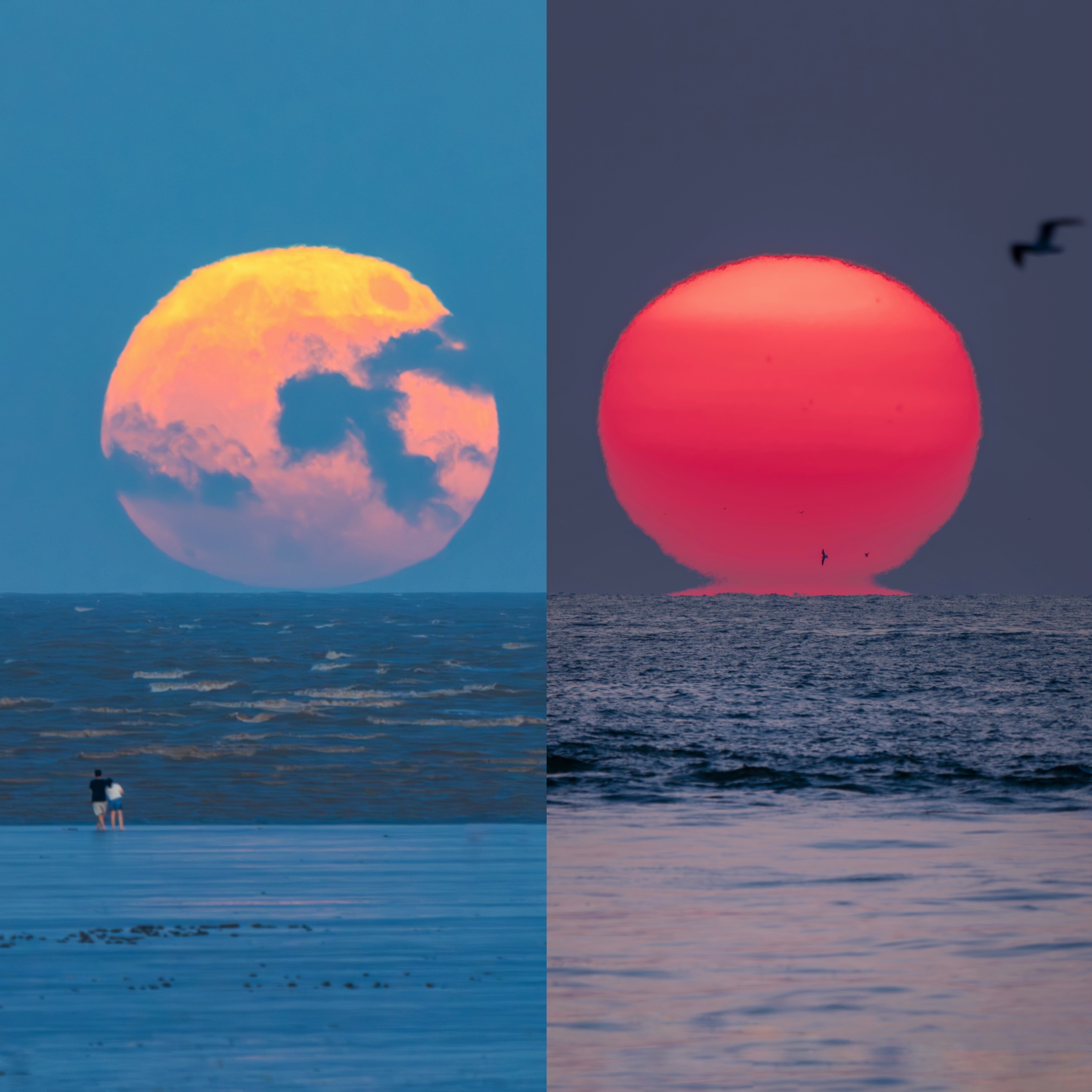 海上升日月.jpeg