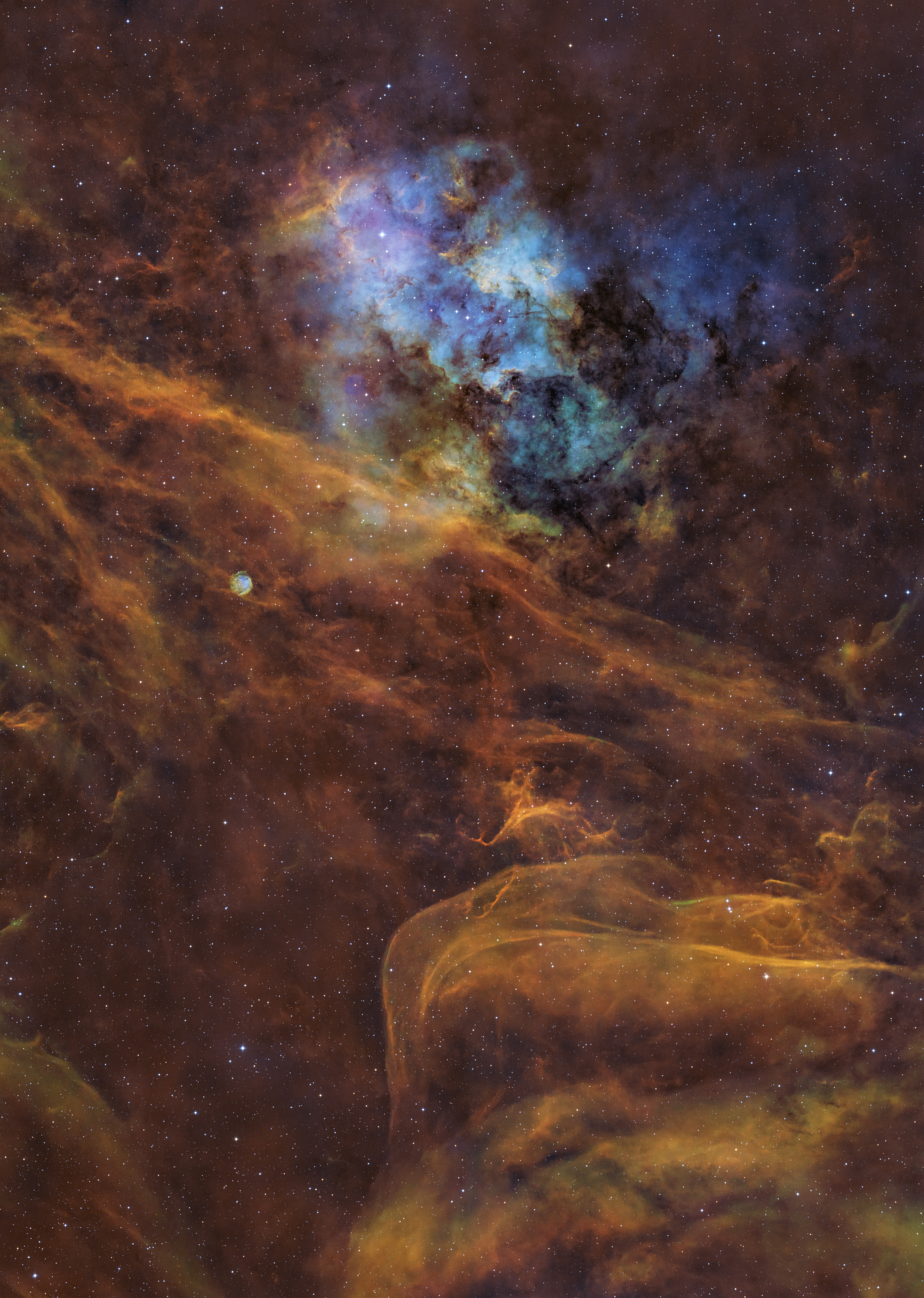 SH2-115天鹅座星云.jpg