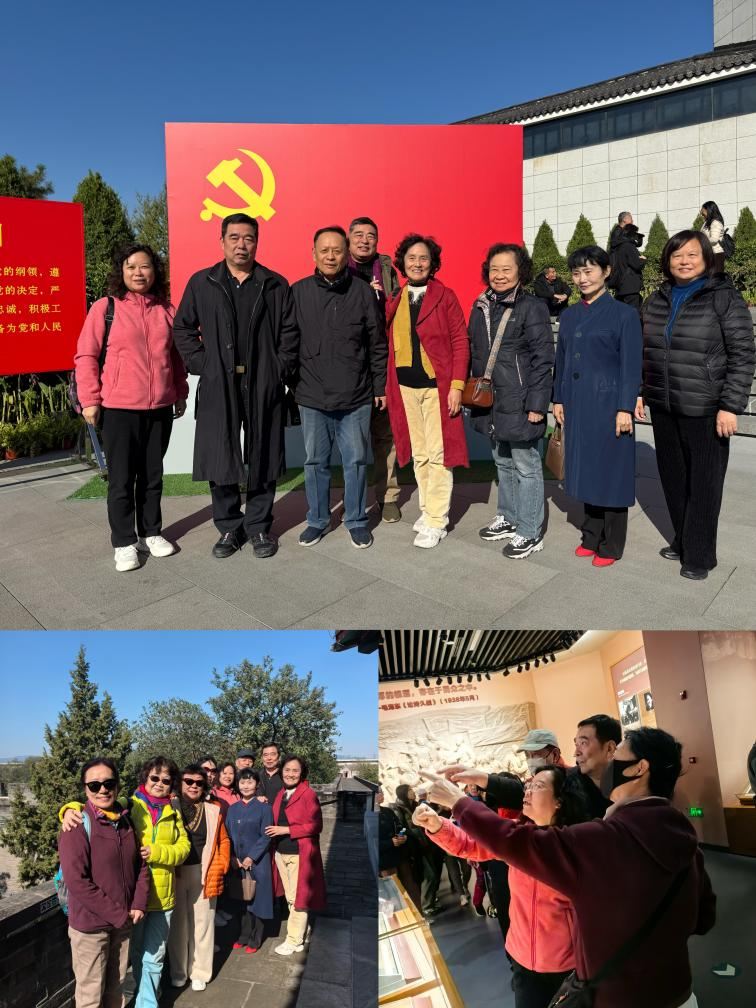 1762390472908003633.png 图片1.png