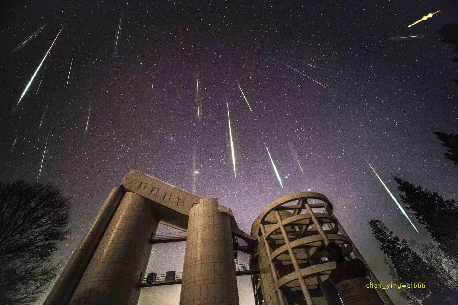 1766111006230009067.jpg 4.jpg