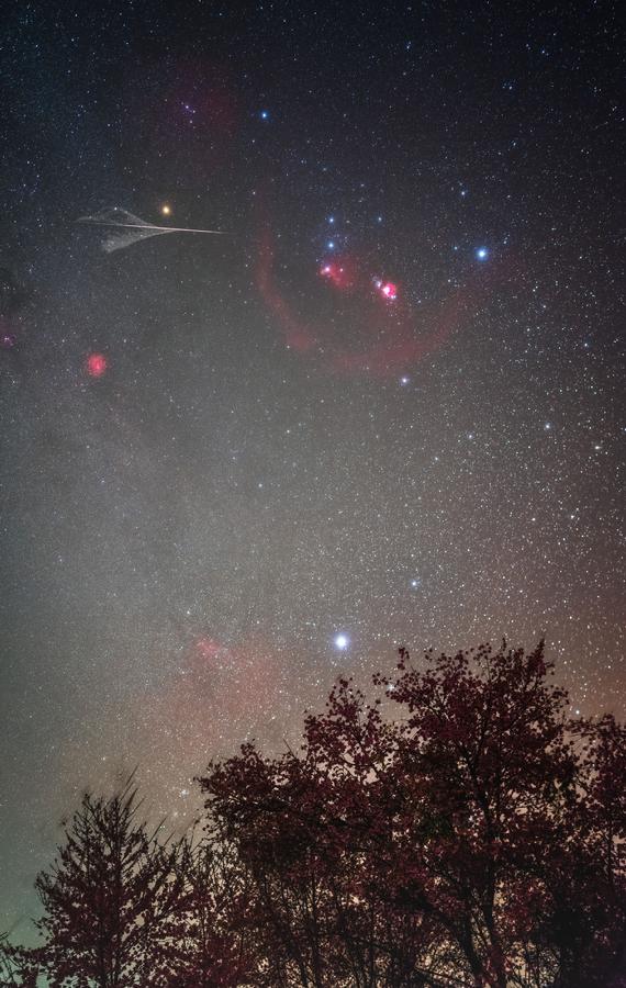 4朱明华 - 星与花的约定.jpg