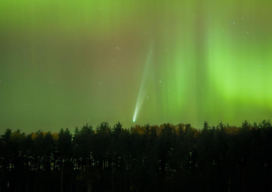 1.13张乐轩 - 秋日来客.jpg