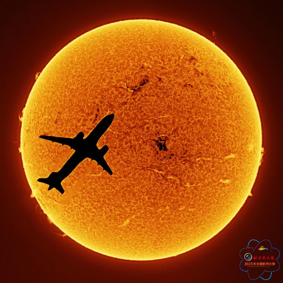 3-梁力豪-星空与人-2025-0886 金乌负日-[作品文件].jpg