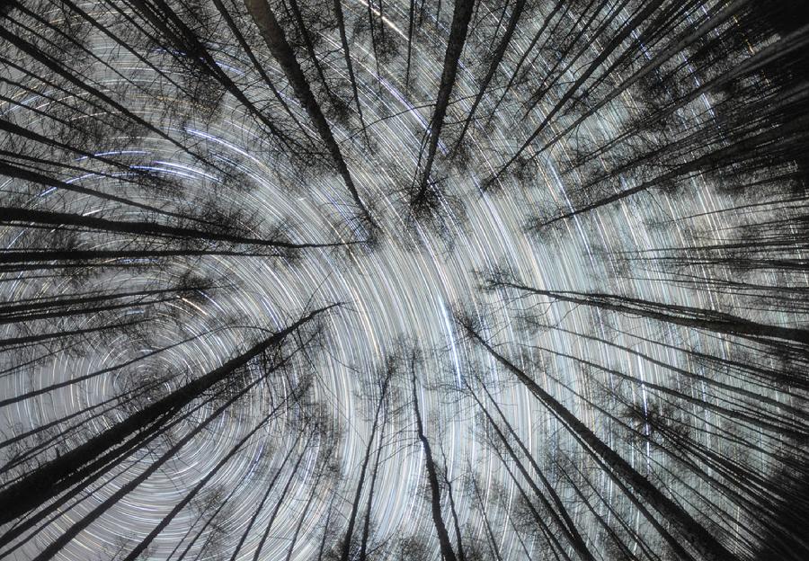 3.13孙寒阳 - 林隙星绽.jpg