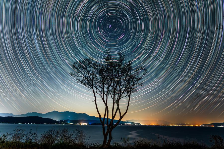 4.3朱明华 - 抚仙湖星夜：一棵树与时间的对白2.jpg