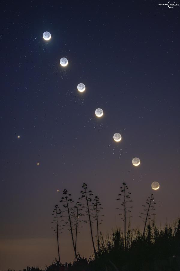 待译-APOD20260429_月球、金星与昴星团.jpg