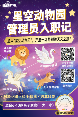 图片 31.png