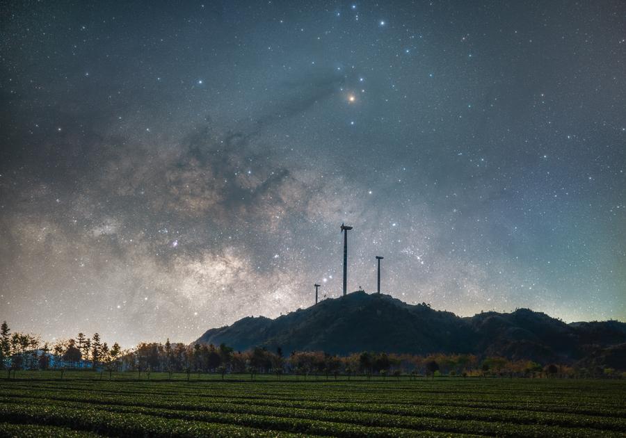 714蔡远炀-茶园星夜.jpg