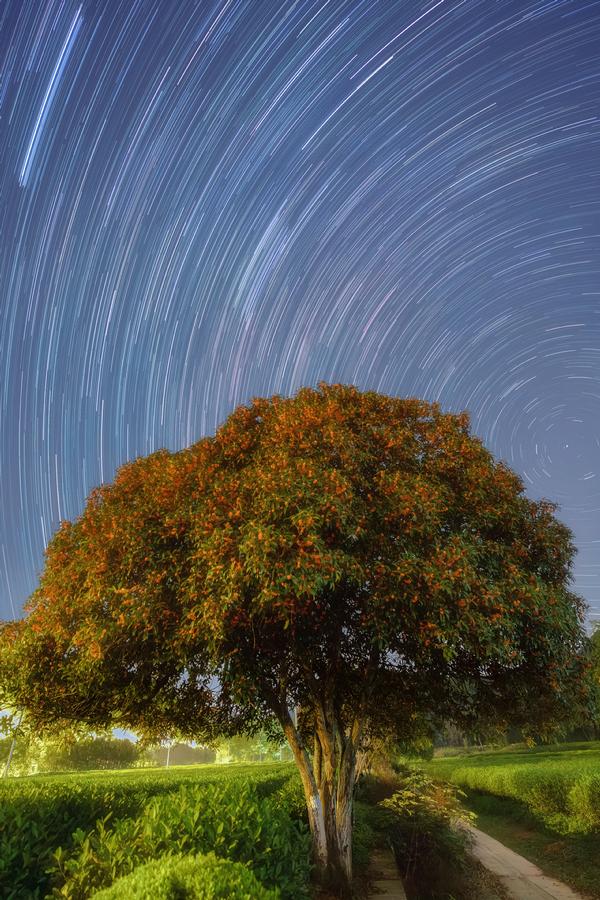 720Aurora刘璃-少年游.jpg