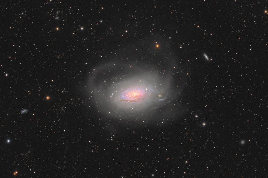 8.5M63向日葵星系.jpg