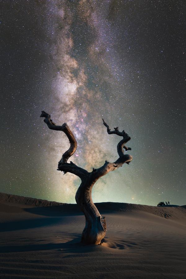 922崔宁-大漠孤星直.jpg